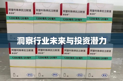 武汉洞察行业未来与投资潜力